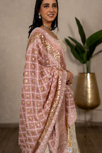 Noorjahan Gotta Patti Chikankari Jaal Dupatta – Blush Pink