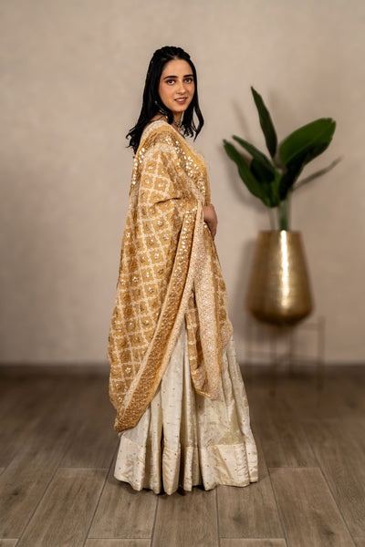 Noorjahan Gotta Patti Chikankari Jaal Dupatta – Antique Gold