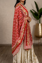 Noorjahan Gotta Patti Chikankari Jaal Dupatta – Coral Red