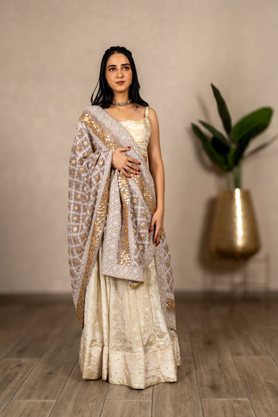 Noorjahan Gotta Patti Chikankari Jaal Dupatta – Light Grey