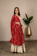 Charulata Art Silk Dupatta – Rani Pink
